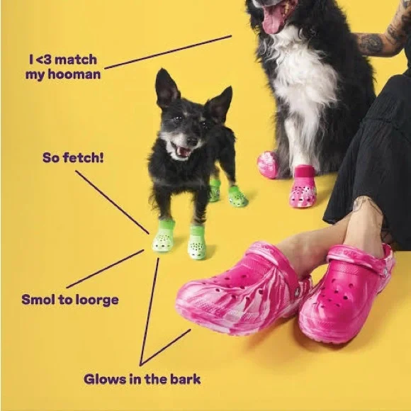 Dog Crocs NWOT Dragon Fruit Pink - Picture 2 of 4